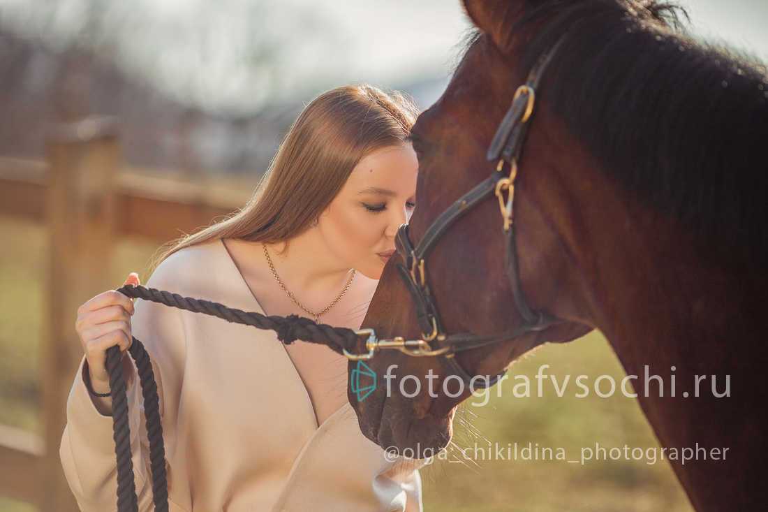 Девушка держит лошадь за уздечку