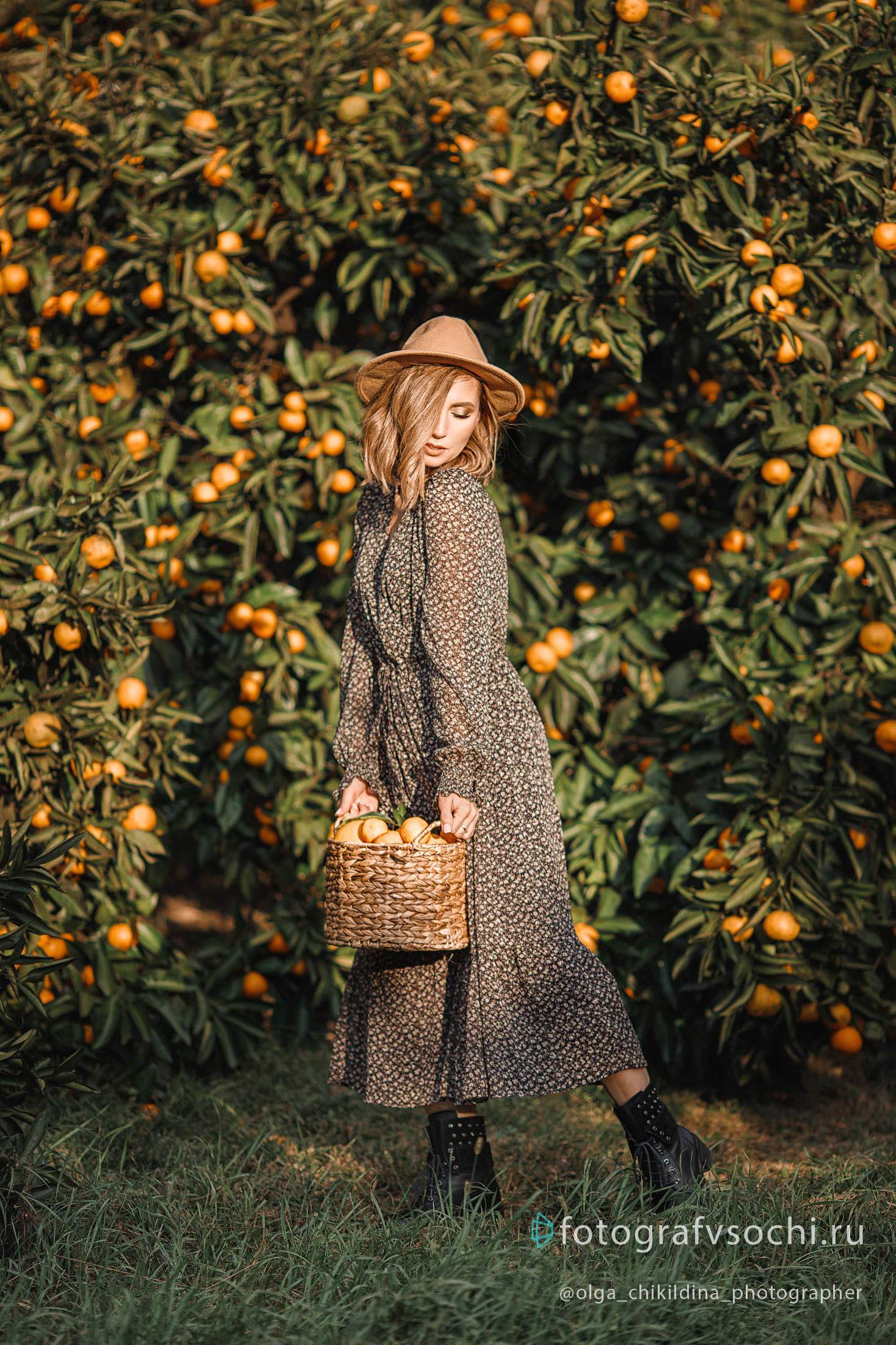 Цитрусовая фотосессия в мандариновом саду